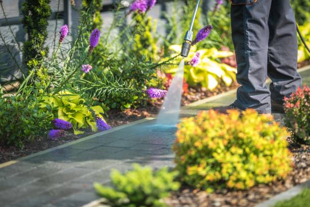 Best Animal Enclosure Cleaning  in Stottville, NY
